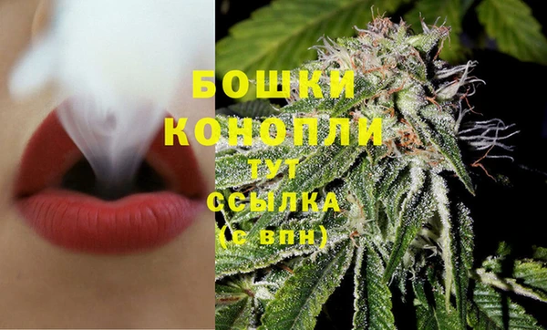 ешки Богданович