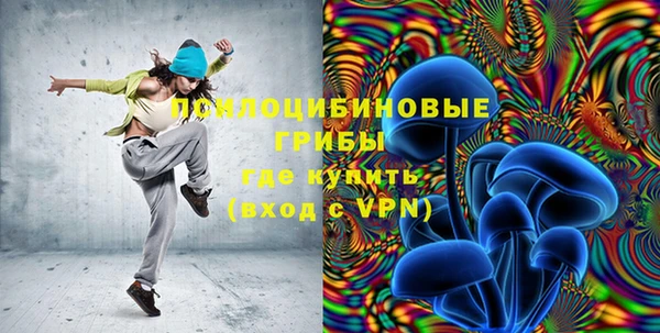 ешки Богданович